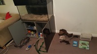 Aquarium and more - Seashell Pheonix 180 litre - Bargain