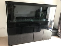 Stunning fit filtration marine aquarium in piano black £2500