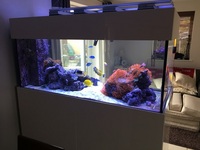 Complete Optiwhite Marine Reef Aquarium Fish Tank 5 x 2.5 x 2 foot