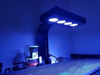 Live rock, Marine fish, Inverts in Full marine setup for sale