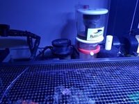 Live rock, Marine fish, Inverts in Full marine setup for sale