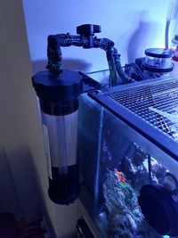 Live rock, Marine fish, Inverts in Full marine setup for sale