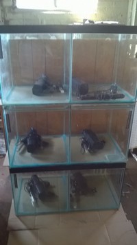 Breeding tanks for sale