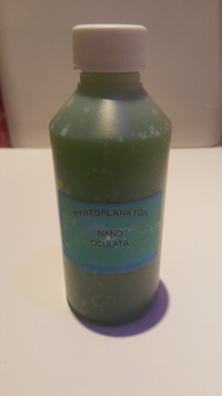 Phytoplankton.phyto.marine.frags.coral