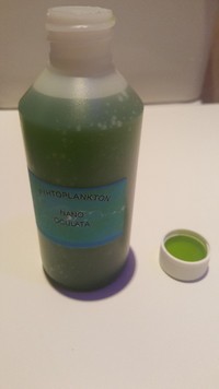 Phytoplankton.phyto.marine.frags.coral
