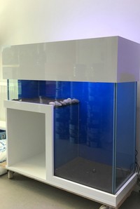 Custom Built Bespoke Aquarium - unique with a space for fridge / filter / other
