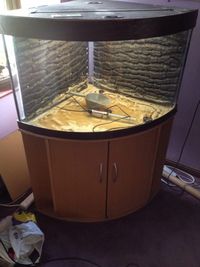 Juwel Trigon 190L Aquarium Setup