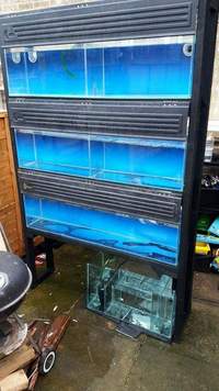 Rack aqariums and sump for sale 110£