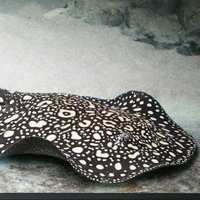 Pure BD Thousand Island Pair £1600
