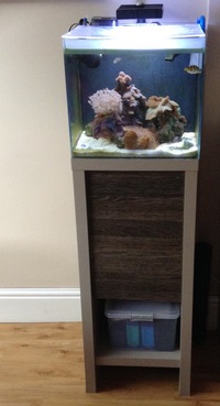 M40 fluval marine aquarium complete setup