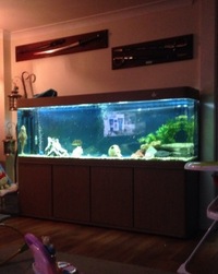 6ft tank, stand and external filter for sale