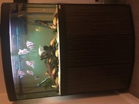 FLUVAL VICENZA 180 NATURAL OAK BOW FRONT AQUARIUM