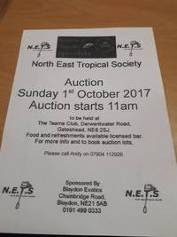 Biggest and best auction in the northeast