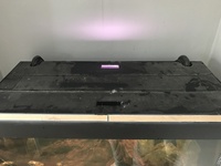 Fluval Roma 125 - £90