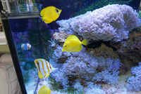 4x2x2 Full Marine System for Sale