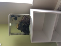 Marine tank and stand
