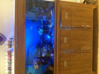 Full set up Marine reef system with sump andall livestock 5ft