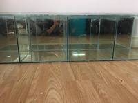 4 ft quad fish tank