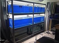 Looking for fish tank rack