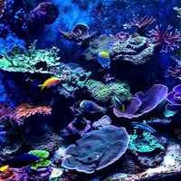 Marine System