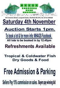tropical fish auction