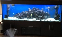 Not one but Two tanks for sale