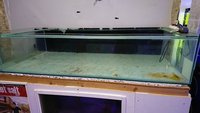 Large, shallow coral frag tank. 6ft(L) x 2.5ft(W) x 14 inches (H)