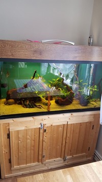360l tank with sump 300£
