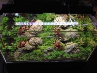 Tmc 600 with all shrimp gear £60