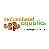 Maidenhead aquatics @ stockton Current Stocklist 14/04