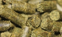 Blackworm, Earthworm & Bloodworm Sticks