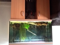 Large 4x2x2 fish tank