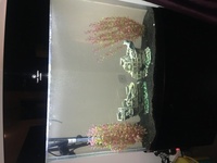 Cleair 300 litre high gloss fish tank £295.00