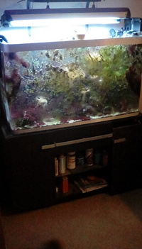 Fluval Osaka 260 for sale
