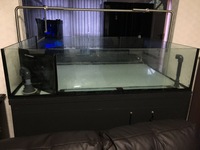 Professional Coral Tank full Setup For Sale £325