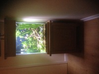 Aqua oak 155ltr cube fish tank for sale