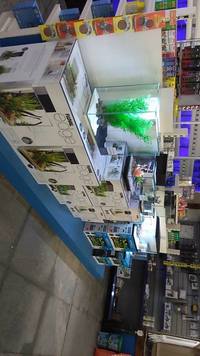 The Aquarium People, Preston- 50% OFF SALE- Current stocklist
