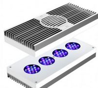 Hydra 52HD Lighting - White