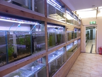 TA Aquaculture