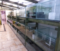 TA Aquaculture