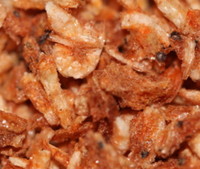 MARINE - TA AQUACULTURE - Specialist Fish Foods.