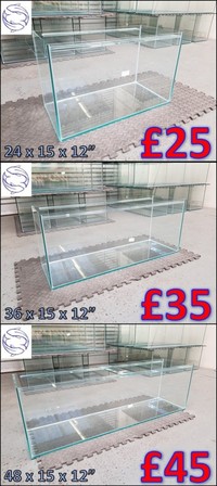 Black Friday sale at Midland Aquatics