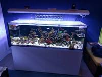 Aquarium Connections Marine Tank 750 litre, opti-white glass, rimless
