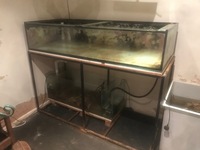 6ft x 30in x 15in tall.Fish tank Coral Tray with sump and pump.