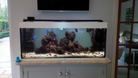240 litre marine tank complete set-up £150 with many accessories