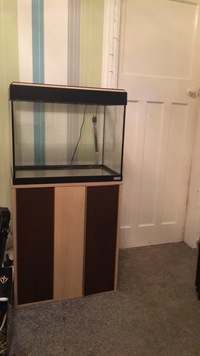 Complete fish tank with stand