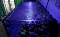 Simply Aquaria DIY Aquarium Tank Cover