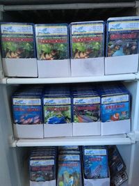 Steves fish house Newport stock list 11/01/18 fish/plants