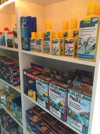 Steves fish house Newport stock list 11/01/18 fish/plants