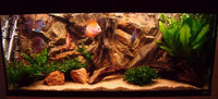Fluval Vicenza 180 aquarium rock background real 3D for 99